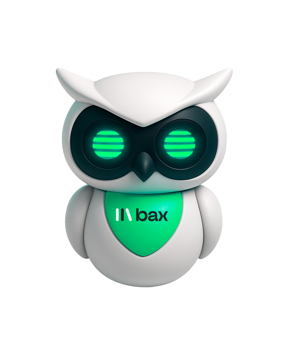 Mascote Coruja Bax + Laptop